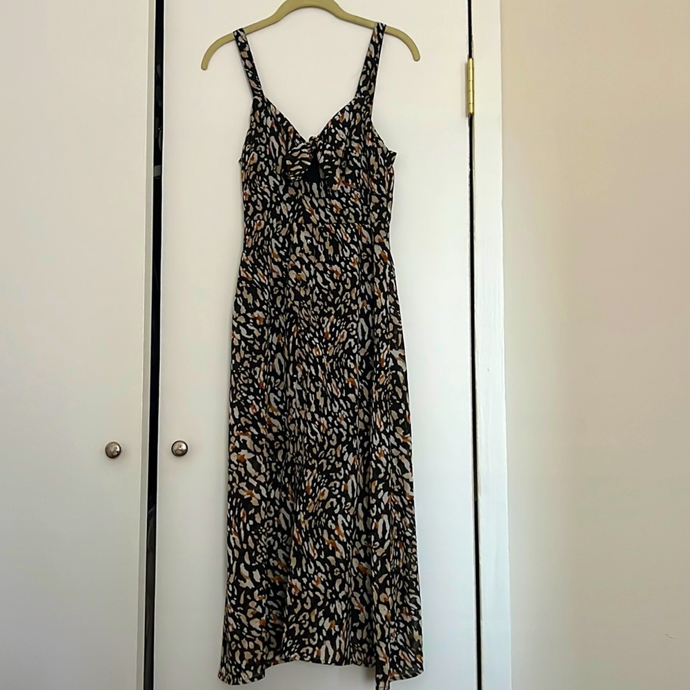Leopard Print Dress
